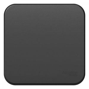 Выключатель 1-кл. ОП Blanca 10А IP20 (сх. 1) с самовозвратом с изолир. пластиной антрацит SE BLNCA101016 1210626