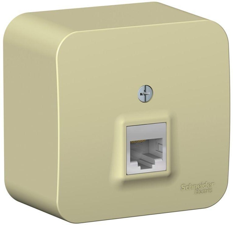 Розетка компьютерная 1-м ОП Blanca RJ45 кат.5E с изолир. пластиной беж. SE BLNIA045007