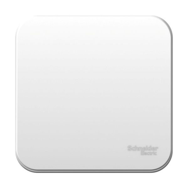 Выключатель 1-кл. ОП Blanca 6А IP20 (сх. 1) 250В с изолир. пластиной бел. SE BLNVA061011 - Фото 2
