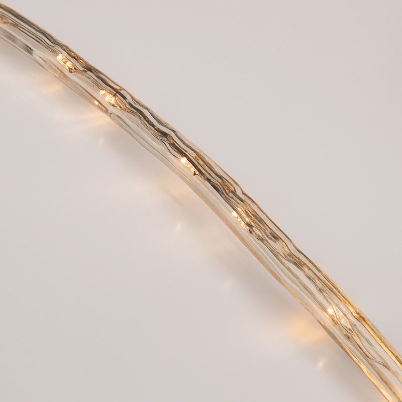 Дюралайт LED, свечение с динамикой (3W), 24 LED/м, ТЕПЛЫЙ БЕЛЫЙ, 14м - Фото 4