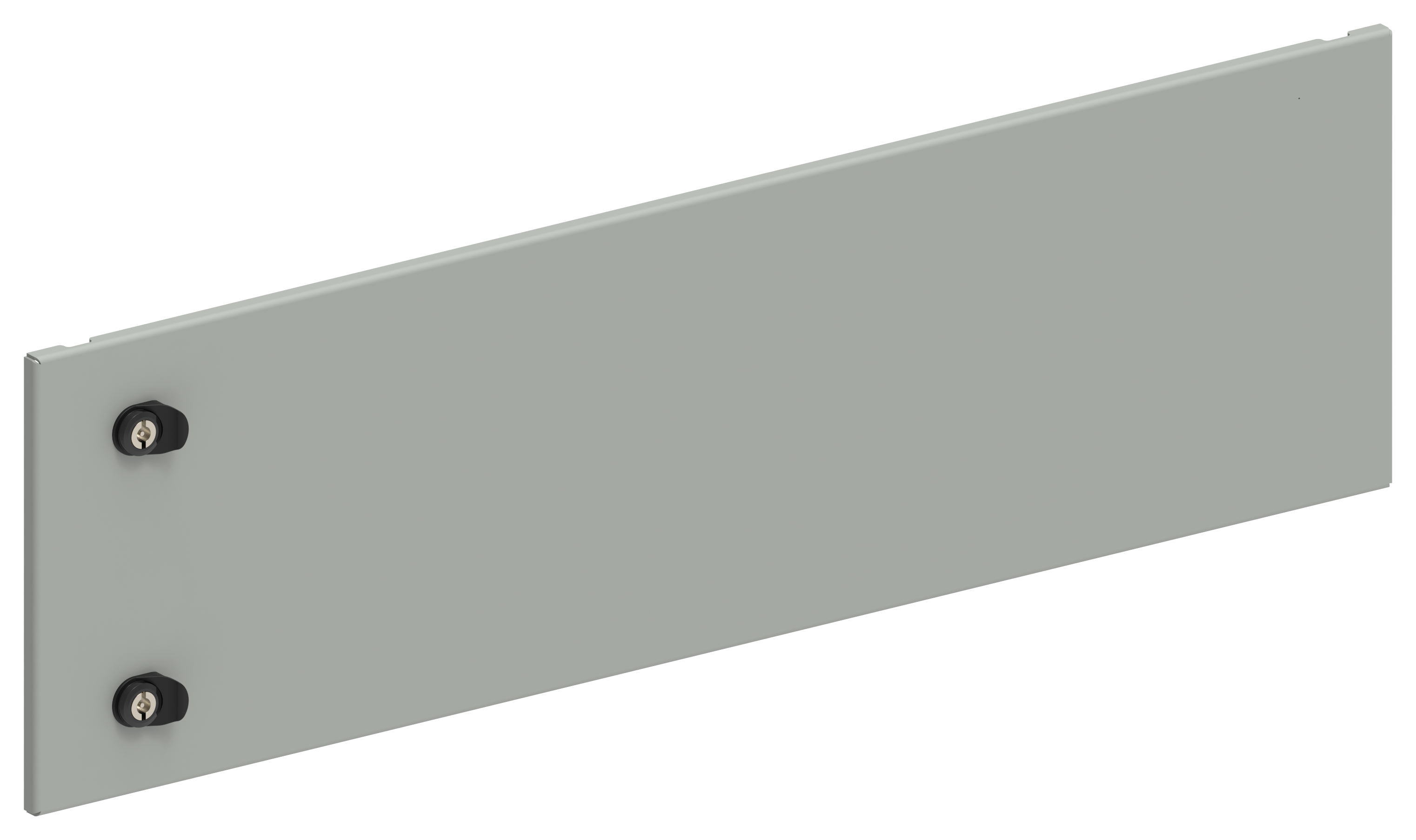 FORMAT Дверь секционная внешняя 300х1000мм IEK FO-00-ESD-030-100