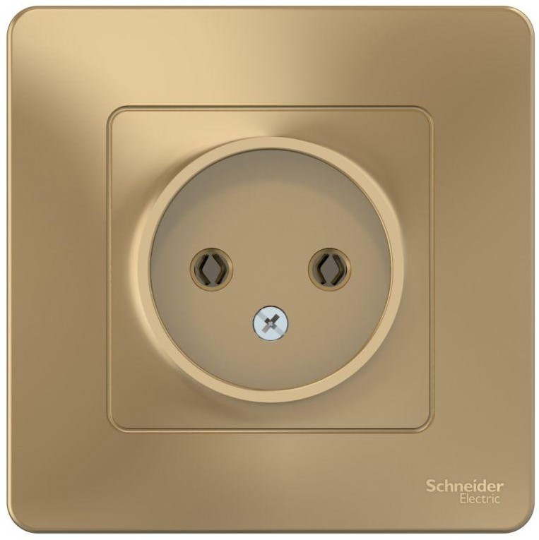 Розетка 1-м СП Blanca 16А IP20 250В без заземл. без защ. шторок титан SE BLNRS000014 - Фото 3