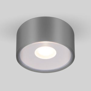 Светильник уличный потолочный Light LED 2135 IP65 35141/H серый Elektrostandard a057472