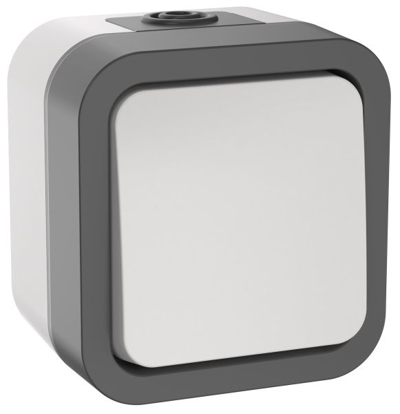 TORS Выключатель кнопочный 10А IP55 TS210 серо-белый IEK TS-V14-0-10-55-K41