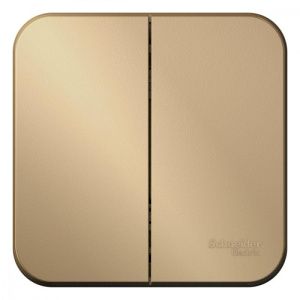 Выключатель 2-кл. ОП Blanca 10А IP20 (сх. 5) 250В с изолир. пластиной титан SE BLNVA105014 1210583