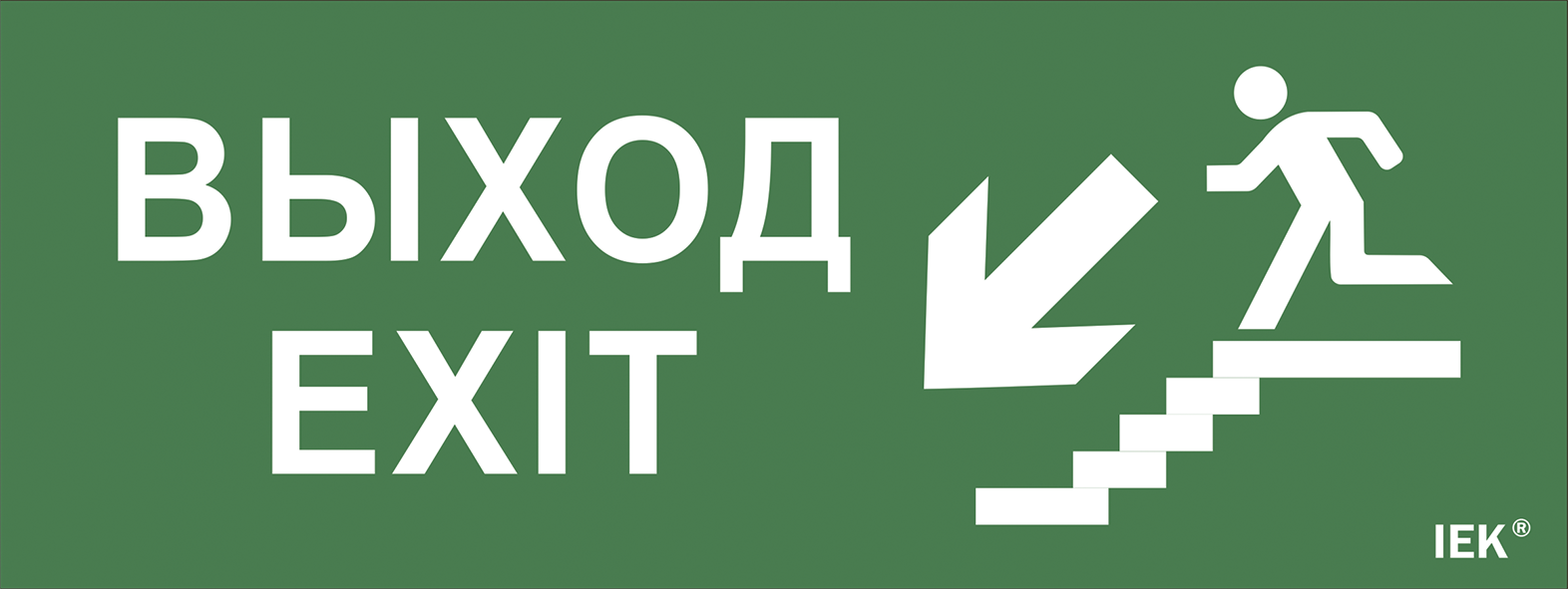 Этикетка самоклеящаяся 240х90мм "Выход/лестница вниз/фигура" IEK LPC10-1-24-09-VLVNF