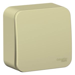 Выключатель 1-кл. ОП Blanca 10А (сх.1) с самовозвратом с изолир. пластиной беж. SE BLNCA101017 520065