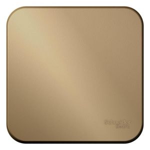 Выключатель 1-кл. ОП Blanca 10А IP20 (сх. 1) с самовозвратом с изолир. пластиной титан SE BLNCA101014 1210585