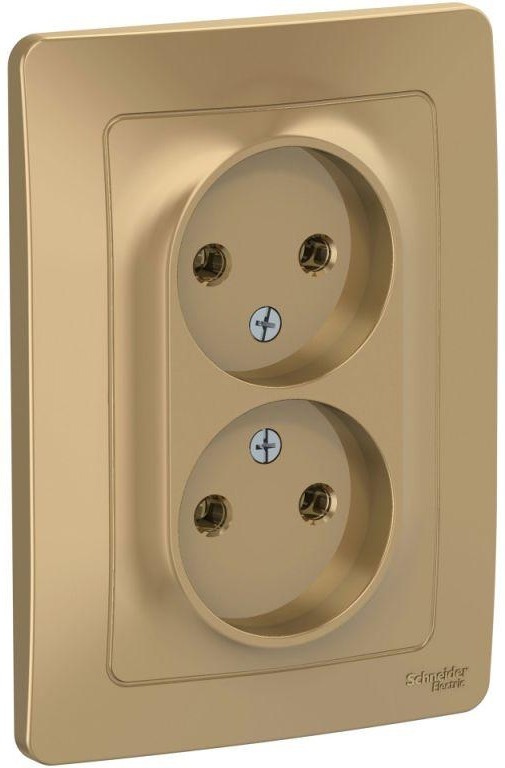 Розетка 2-м СП Blanca 16А IP20 250В без заземл. без защ. шторок титан SE BLNRS000024