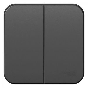 Выключатель 2-кл. ОП Blanca 10А IP20 (сх. 5) 250В антрацит SE BLNVA105006 1210612