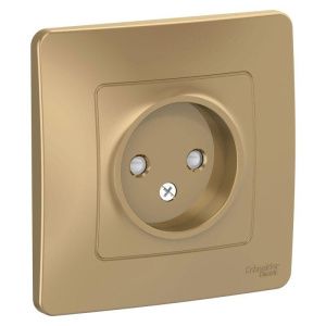 Розетка 1-м СП Blanca 16А IP20 250В без заземл. защ. шторки титан SE BLNRS000114 1210353