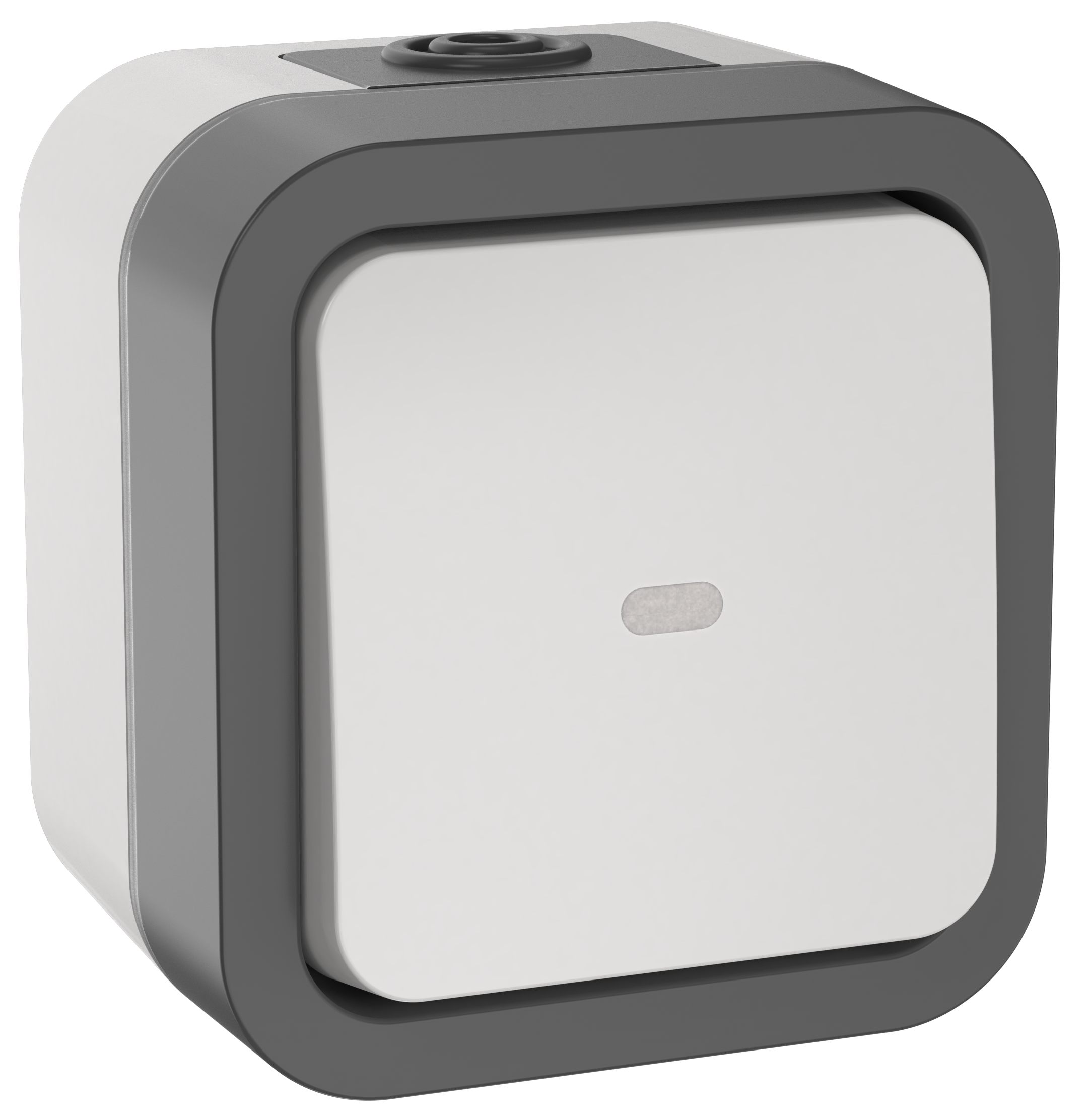 TORS Переключатель одноклавишный с индикацией 10А IP55 TS202 серо-белый IEK