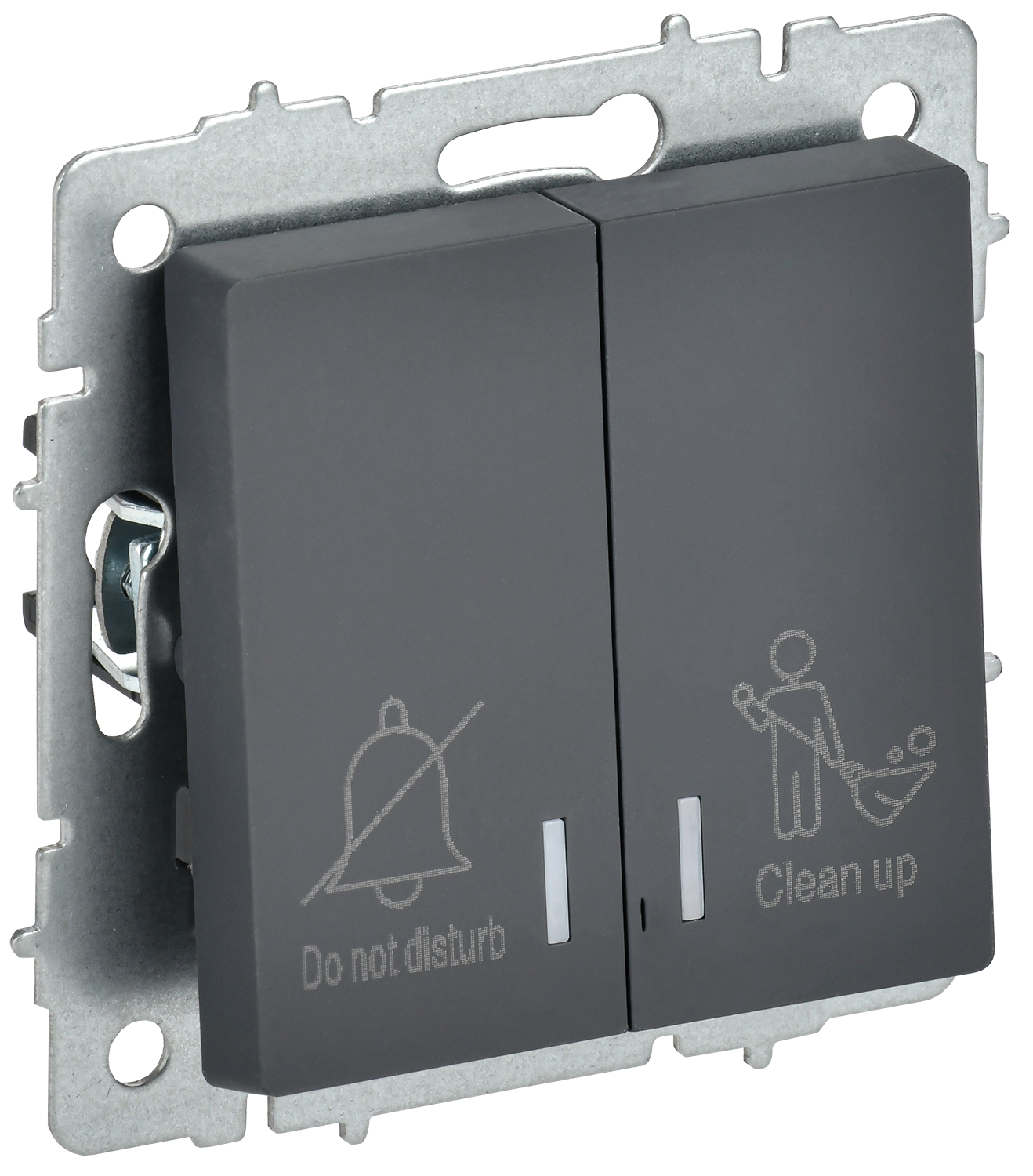 BRITE Выключатель 2-клавишный с индикацией для отелей 10А ВС10-2-9-БрГ графит IEK BR-V20-2-10-K53