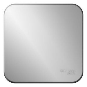 Выключатель 1-кл. ОП Blanca 10А IP20 (сх. 1) с самовозвратом с изолир. пластиной алюм. SE BLNCA101013 1210544