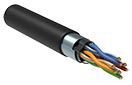 Витая пара F/UTP кат.5E 24AWG 4 пары LDPE 1м черный (305м) РФ GENERICA BC3-C5E04-339-305-R-G