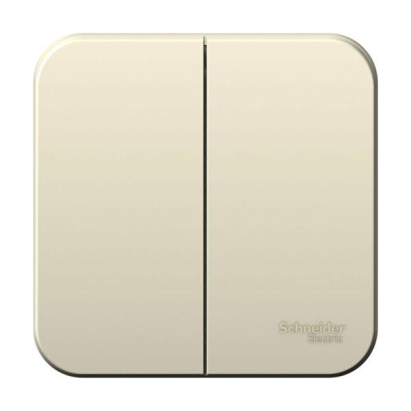 Выключатель 2-кл. ОП Blanca 10А IP20 (сх. 5) 250В молочн. SE BLNVA105002