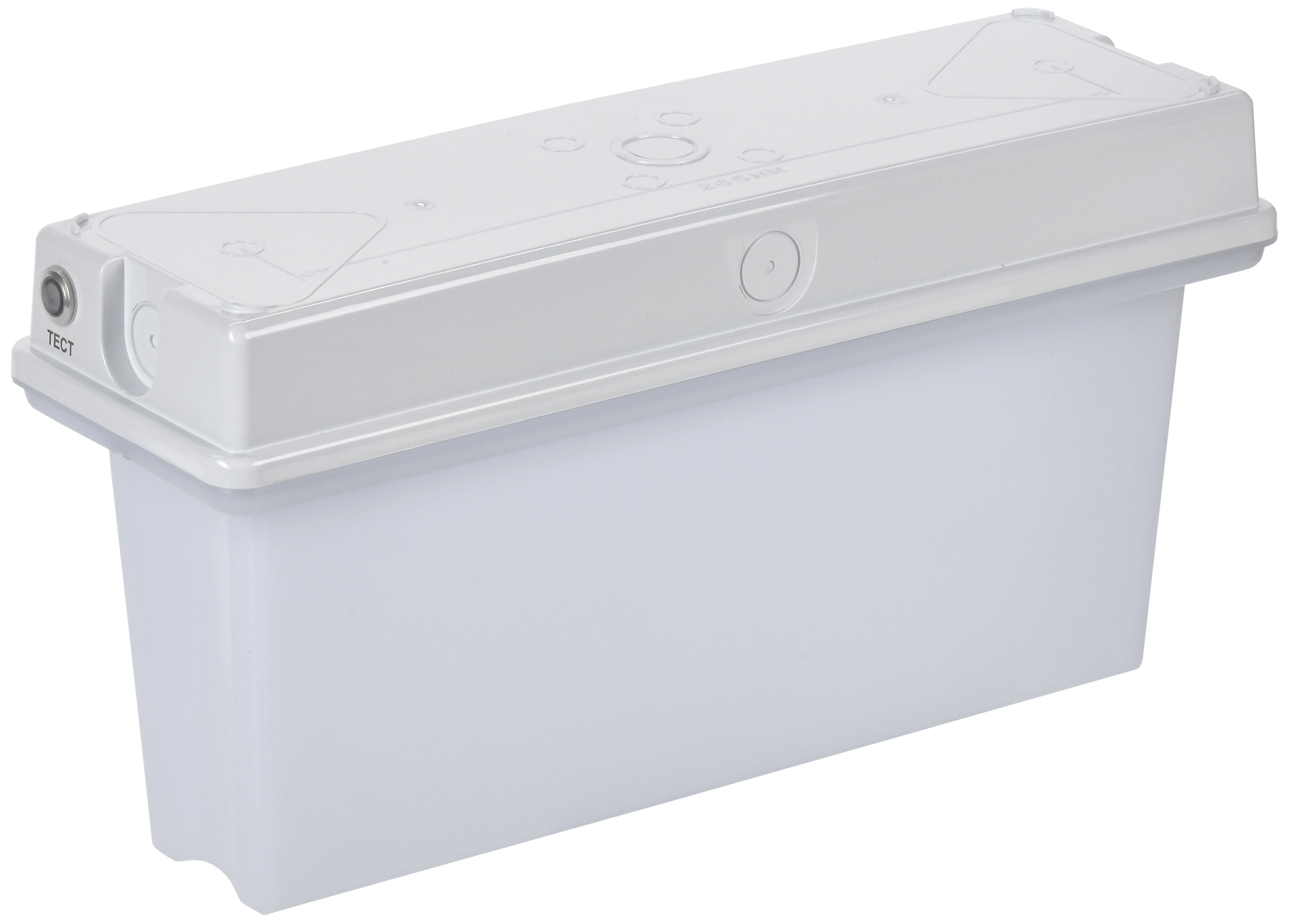 Светильник аварийный ССА1010 1ч универсальный IP65 IEK LSSA0-1010-1-65-K01