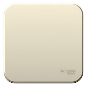 Выключатель 1-кл. ОП Blanca 6А IP20 (сх. 1) 250В молочн. SE BLNVA061002 1210480