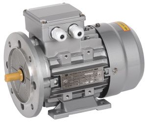 Электродвигатель асинхронный трехфазный АИС 56B4 380В 0,09кВт 1500об/мин 2081 DRIVE IEK AIS056-B4-000-1-1520