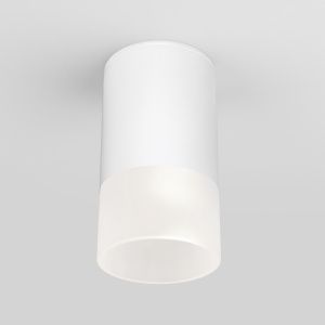 Светильник уличный потолочный Light LED 2106 IP54 35139/H белый Elektrostandard a057157