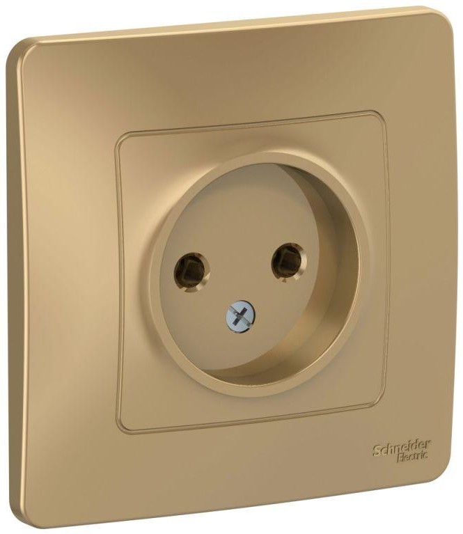 Розетка 1-м СП Blanca 16А IP20 250В без заземл. без защ. шторок титан SE BLNRS000014