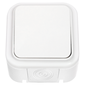 Выключатель одноклавишный брызгозащищенный открытой установки А1 6-222 8636BY