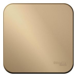 Выключатель 1-кл. ОП Blanca 10А IP20 (сх. 1) 250В титан SE BLNVA101004 1210570