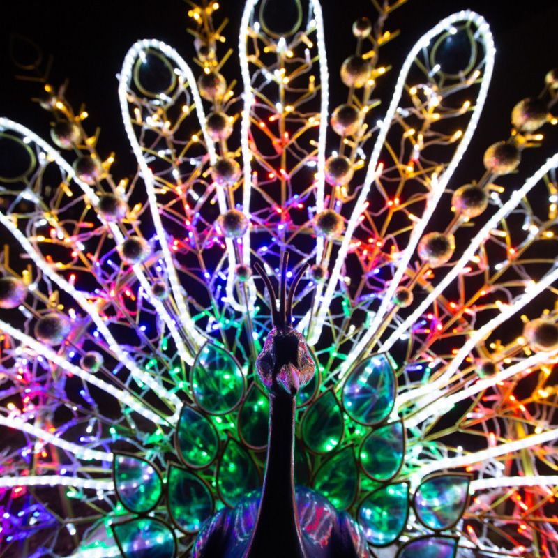 Декоративная 3D Павлин радужный 200 см - Фото 2