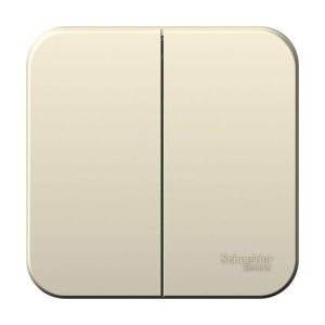 Выключатель 2-кл. ОП Blanca 6А IP20 (сх. 5) 250В молочн. SE BLNVA065002 1210482