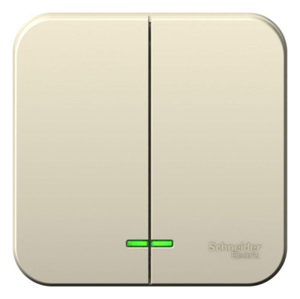 Выключатель 2-кл. ОП Blanca 6А IP20 (сх. 5) 250В с подсветкой с изолир. пластиной молочн. SE BLNVA065112