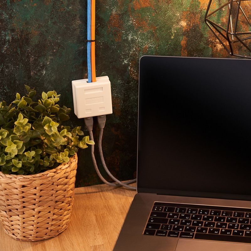 Розетка сетевая LAN, на стену, 2 гнездо 8Р8С (RJ-45), CAT 5е REXANT - Фото 2