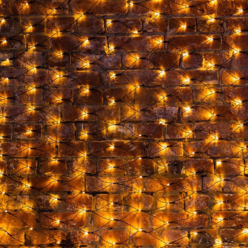 Гирлянда светодиодная Сеть 2х1,5м 288 LED ТЕПЛЫЙ БЕЛЫЙ черный ПВХ IP65 свечение с динамикой блок в комплекте NEON-NIGHT 215-026