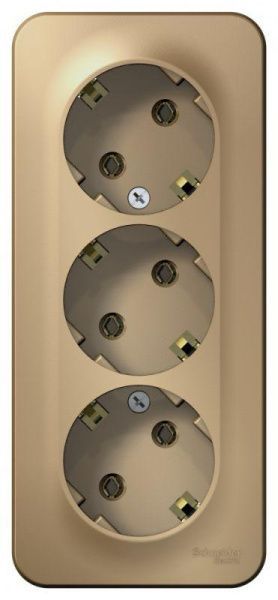 Розетка 3-м ОП Blanca 16А IP20 250В с заземл. без защ. шторок с изолир. пластиной титан SE BLNRA010314