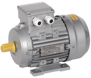 Электродвигатель асинхронный трехфазный АИС 90LB2 380В 3кВт 3000об/мин 1081 DRIVE IEK AIS090-B2-003-0-3010