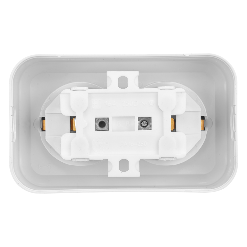 Розетка двухместная с заземляющим контактом открытой установки РА16-250