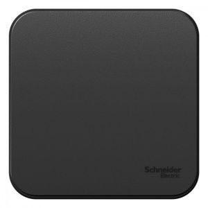 Выключатель 1-кл. ОП Blanca 10А IP20 (сх. 1) 250В антрацит SE BLNVA101006 1210611