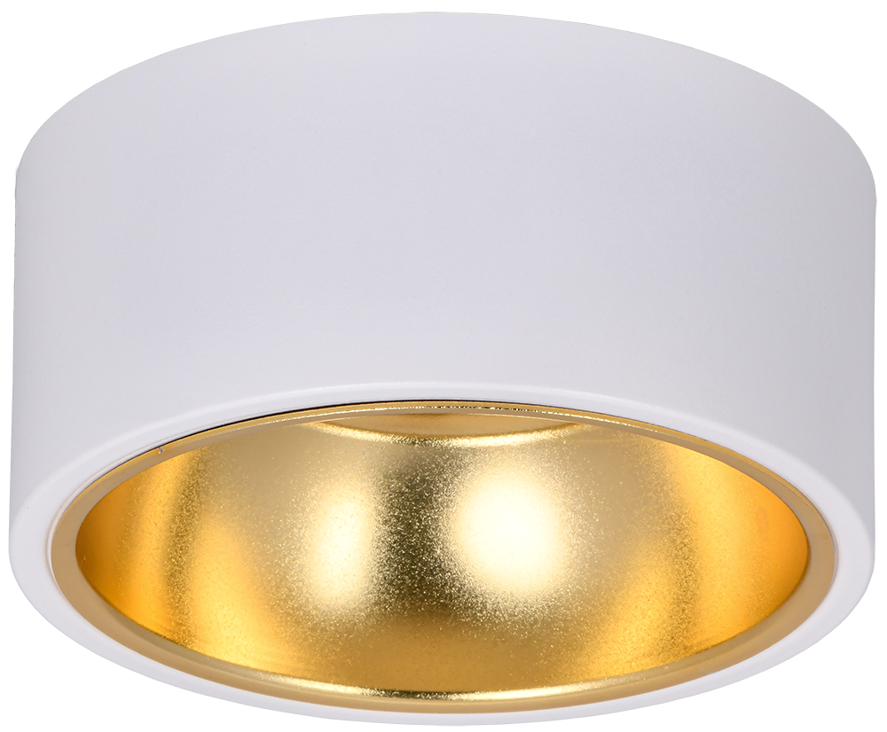 LIGHTING Светильник 4017 накладной потолочный под лампу GX53 белый/золото IEK LT-UPB0-4017-GX53-1-K55