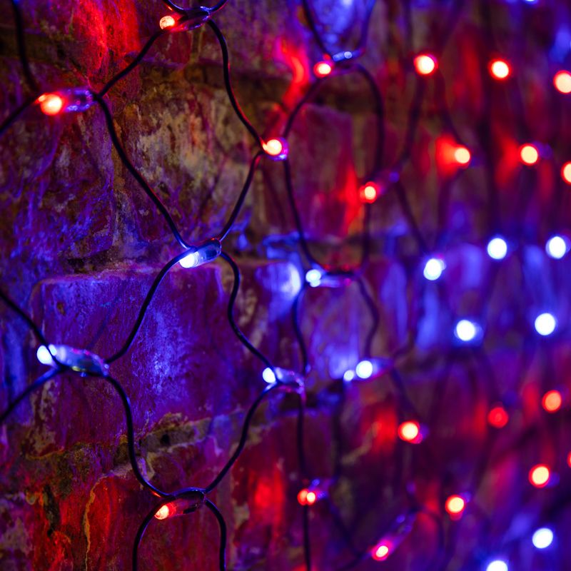 Гирлянда светодиодная Сеть 2,5х2,5м 432 LED КРАСНЫЙ/СИНИЙ черный ПВХ IP65 свечение с динамикой 230В контроллер в комплекте NEON-NIGHT - Фото 2