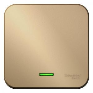 Выключатель 1-кл. ОП Blanca 10А IP20 (сх. 1) 250В с подсветкой титан SE BLNVA101104 1210569