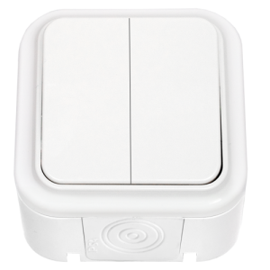 Выключатель двухклавишный брызгозащищенный открытой установки А5 6-224 8646BY