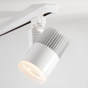 Светильник светодиодный трековый для однофазного шинопровода Accord 30W Белый 4200K LTB20 Elektrostandard a039567