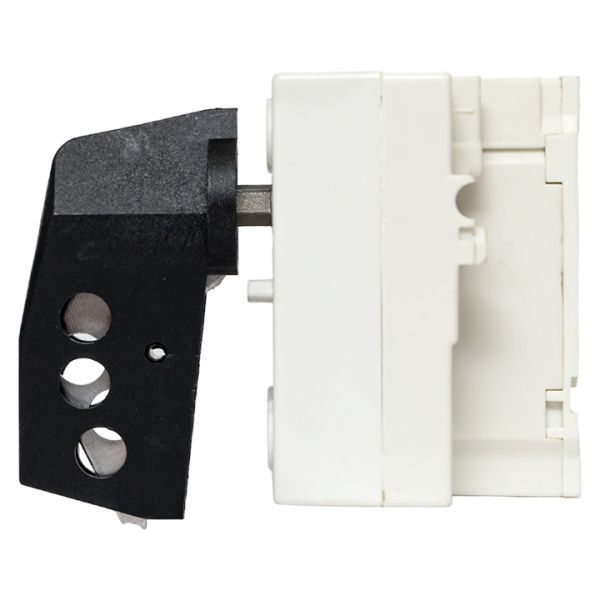 Рубильник-выключатель 63A 4P c рукояткой управления для прямой установки PowerSwitch EKF - Фото 4