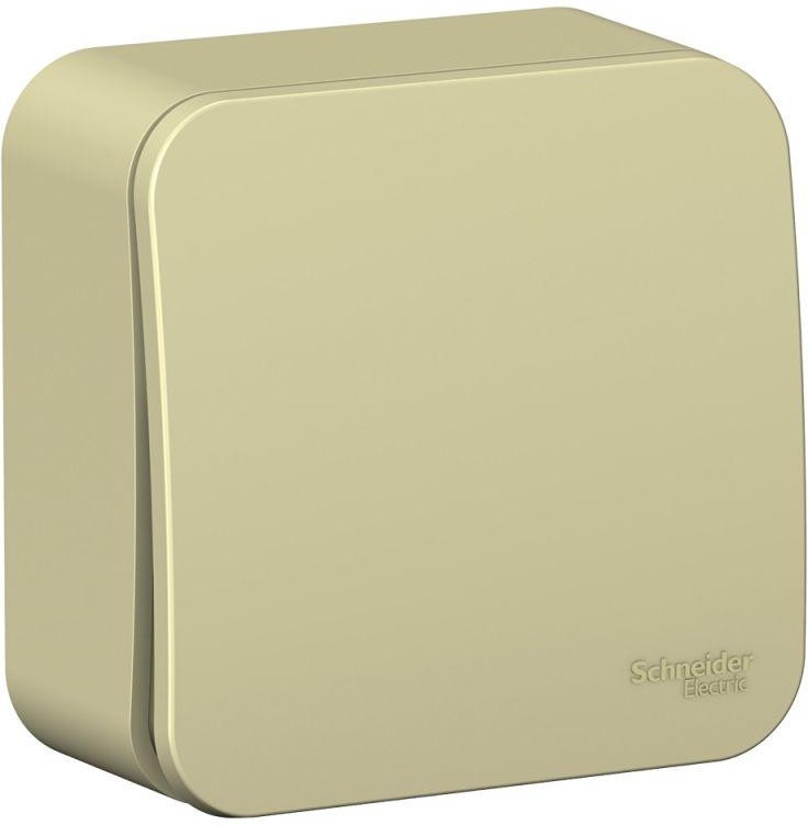 Выключатель 1-кл. ОП Blanca 10А IP20 (сх. 1) 250В с изолир. пластиной беж. SE BLNVA101017