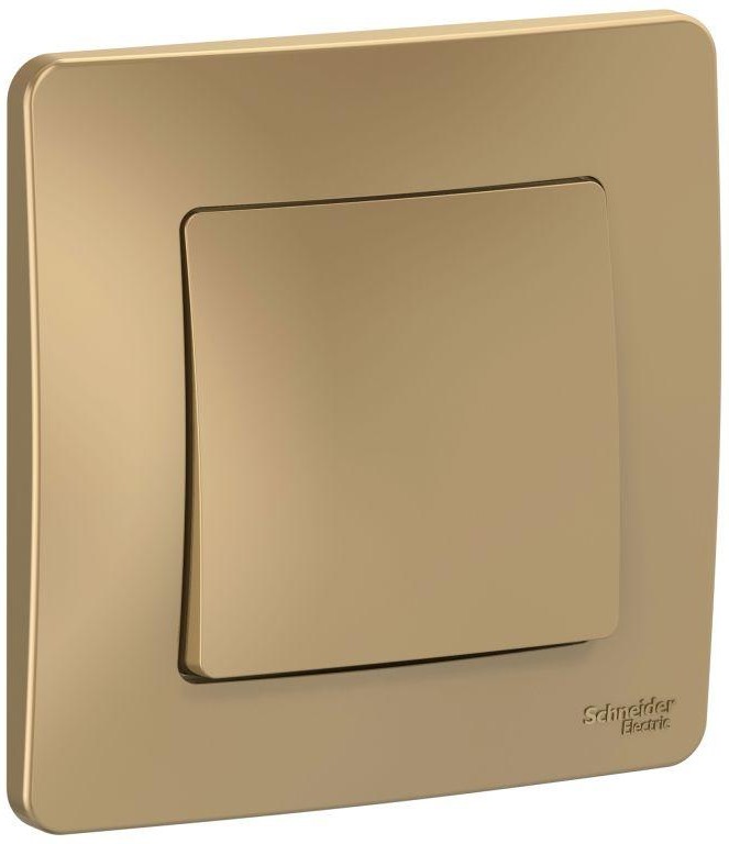 Выключатель 1-кл. СП Blanca 10А IP20 (сх. 1) 250В титан SE BLNVS010104 - Фото 2