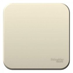 Выключатель 1-кл. ОП Blanca 6А IP20 (сх. 1) 250В молочн. SE BLNVA061002 1210480