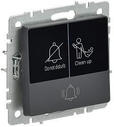 BRITE Кнопка звонка с индикацией для отелей 10А ВС10-1-9-БрГ графит IEK BR-V14-2-10-K53