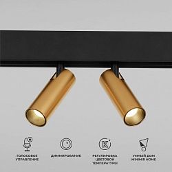 Slim Magnetic Умный трековый светильник 14W 2700-6500K Dim Dual (латунь) 85056/01 Elektrostandard a063527
