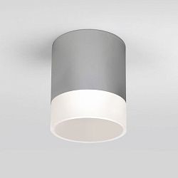 Светильник уличный потолочный Light LED 2107 IP54 35140/H серый Elektrostandard a057161