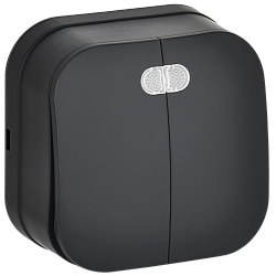 GLORY Выключатель 2-клавишный для открытой установки с индикацией 10А ВС20-2-1-ХЧм черный матовый IEK EVH21-K02M-10