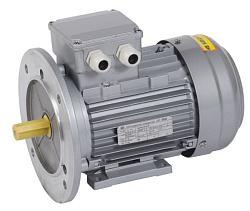 Электродвигатель асинхронный трехфазный АИР 71B8 380В 0,25кВт 750об/мин 2081 DRIVE IEK DRV071-B8-000-3-0720